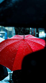 Close-up of wet red during rainy season