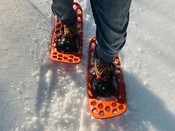 Low section of man wearing snowshoes while standing on snow covered land