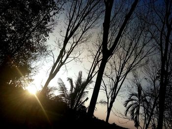 Low angle view of silhouette trees against sky at sunset