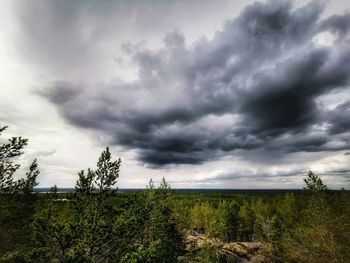 Plants on field against storm clouds