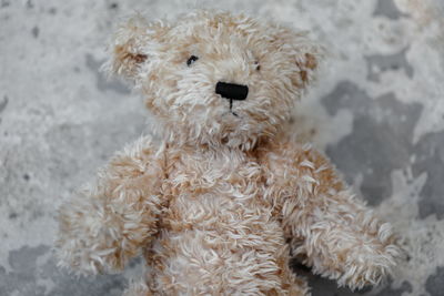 Closeup brown teddy bear on cement floor