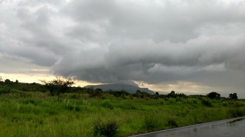 Scenic view of landscape against sky