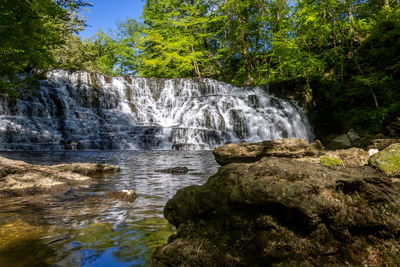 Scenic view of waterfall in forest