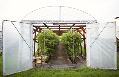 Walkway in field against clear sky