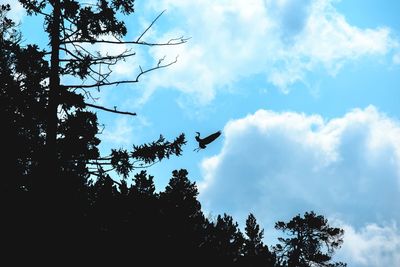 Low angle view of silhouette trees against sky