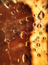 drop