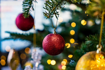 Close-up of christmas ornaments hanging on tree