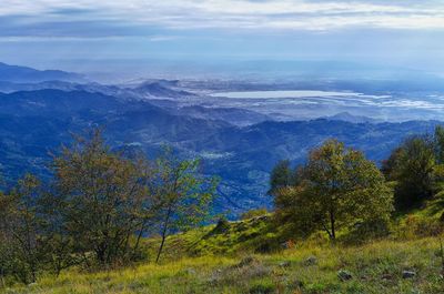 Scenic view of landscape against sky