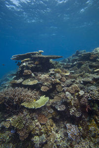 Rocks in sea