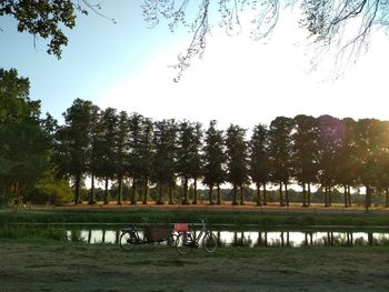 Trees by lake against clear sky