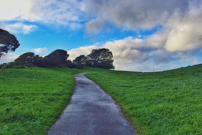 Road passing through grassy field
