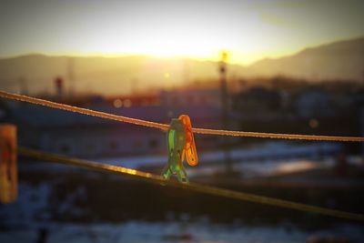 Close-up of clothespins on rope against sky