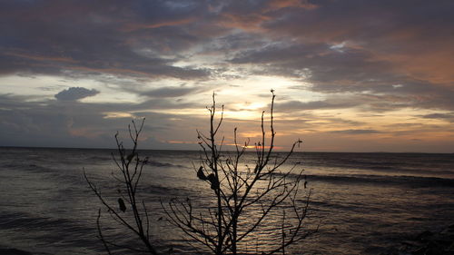 Scenic view of sea against sky at sunset