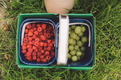 Directly above shot of gooseberries and raspberries in containers on grassy field