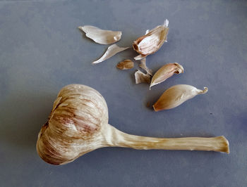 High angle view of garlic on table