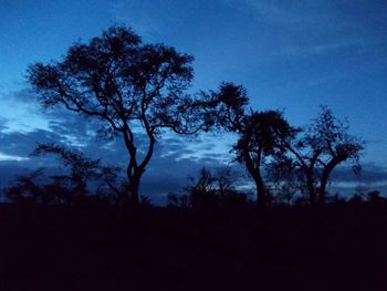 Silhouette trees against sky during sunset