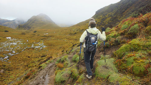 Tourist walking in the cayambe coca national park