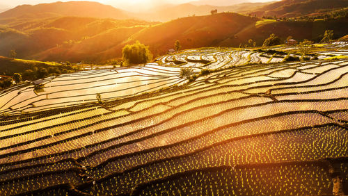 Scenic view of agricultural field against sky during sunset