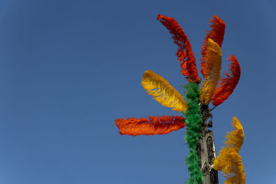 Decorative feathers are used for special ceremonies in mourning in iran.