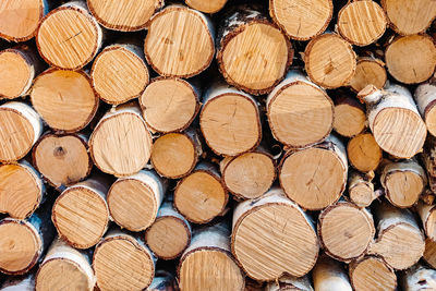 Full frame shot of logs in forest