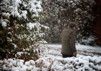Rear view of man walking by snow covered trees during snowfall