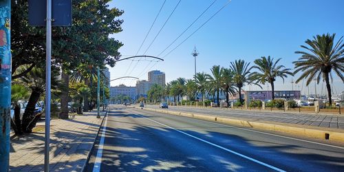 Road by trees in city against sky