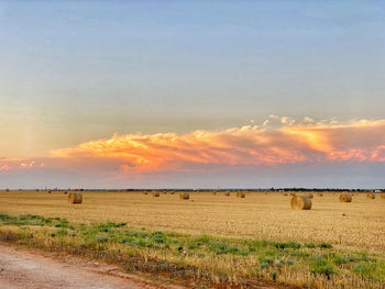 Scenic view of field against sky during sunset