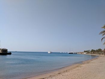 Sailboats in sea against clear sky