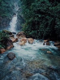 Scenic view of waterfall in forest