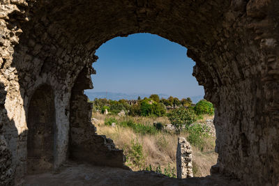Plants seen through archway