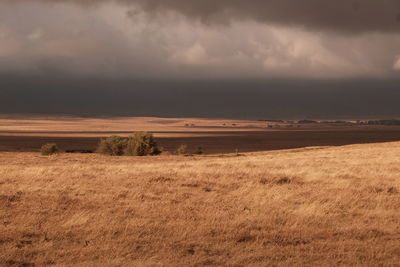 Scenic view of field against cloudy sky