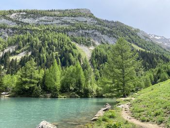 Scenic view of lake and trees against sky