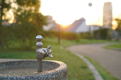 Close-up of park against sky