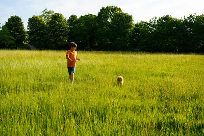 A boy runs through a summer field with small pomeranian dog