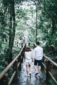 Rear view of people walking on water in forest