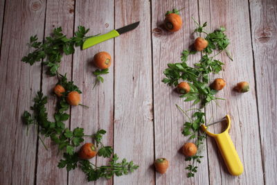 Directly above shot of fruits on table