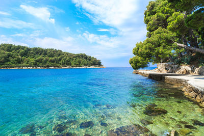 Scenic view of sea by trees against sky