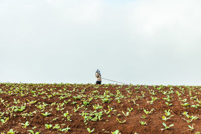 Rear view of woman standing on field against clear sky