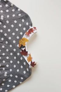 Close-up of autumn leaves on warm clothing over white background
