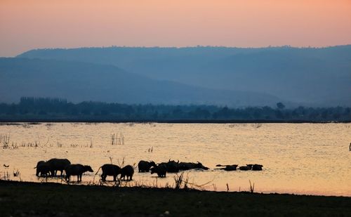 Riverside lifestyle and open-minded farming in the evening,thai countryside