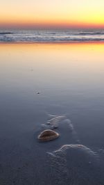Scenic view of sea at sunset
