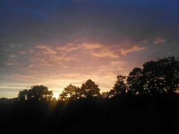 Silhouette of trees at sunset