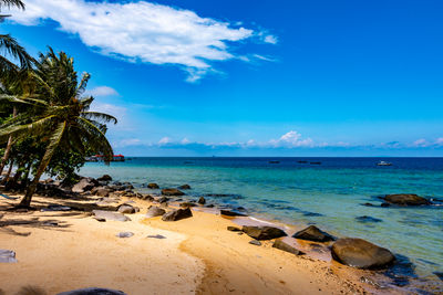 sea