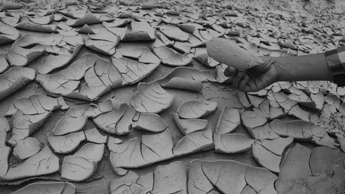 Cropped image of man at drought field