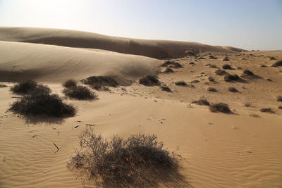 Scenic view of desert against sky