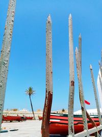 Low angle view of palm trees against blue sky