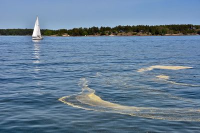 Sailboat sailing in sea against sky