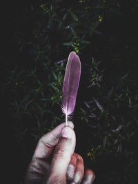Cropped hand holding feather against plants