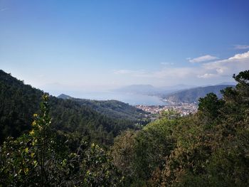 Scenic view of tree mountains against sky