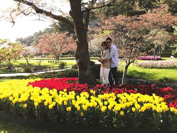 Flowers in park